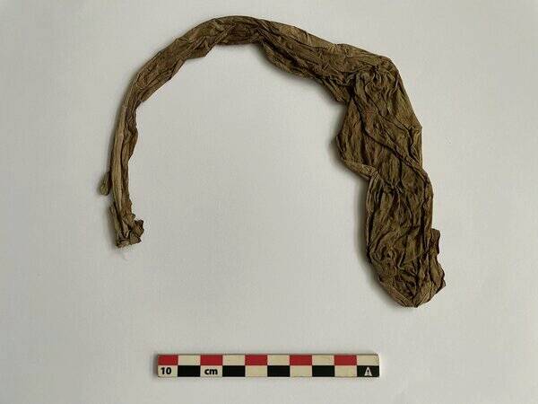 Fig4 Feuille de gbokè séché