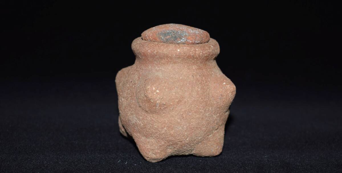 Fig.7-g : Tòhòsuzen mâle (Abomey, Zou - Bénin). Cliché de V.Tourreil