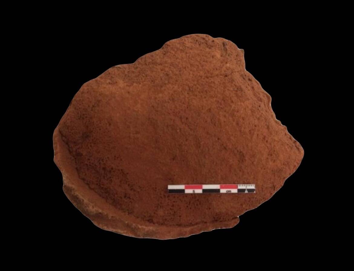 Fig.1 b Cliché de la céramique - Vue supérieure