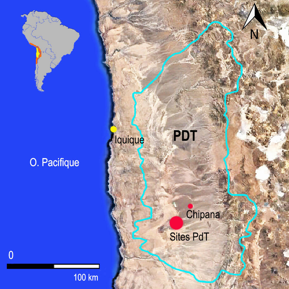 Fig.1 : Désert d’Atacama et zone d’étude de la « Pampa del Tamarugal » (PdT, bordée de bleu clair) au nord du Chili.