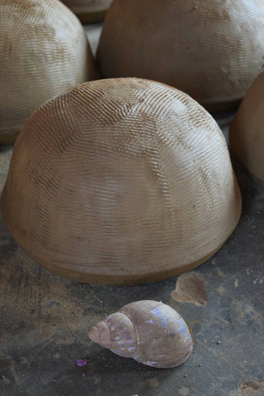 Fig.4-a : Coquille d’escargot pour le raclage