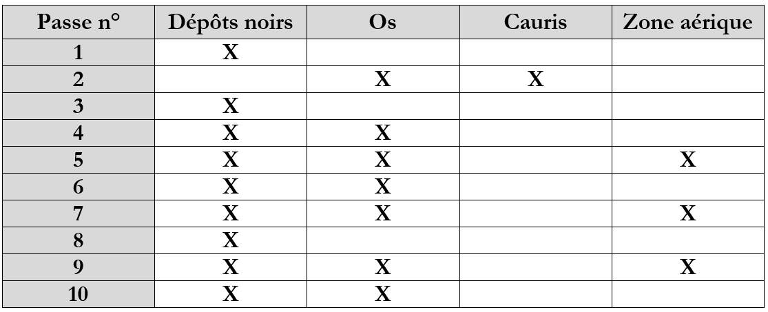 Tableau 1