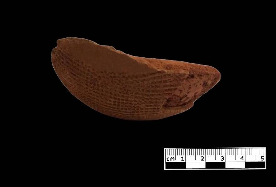 Fig.1 a Cliché de la céramique - Vue extérieure