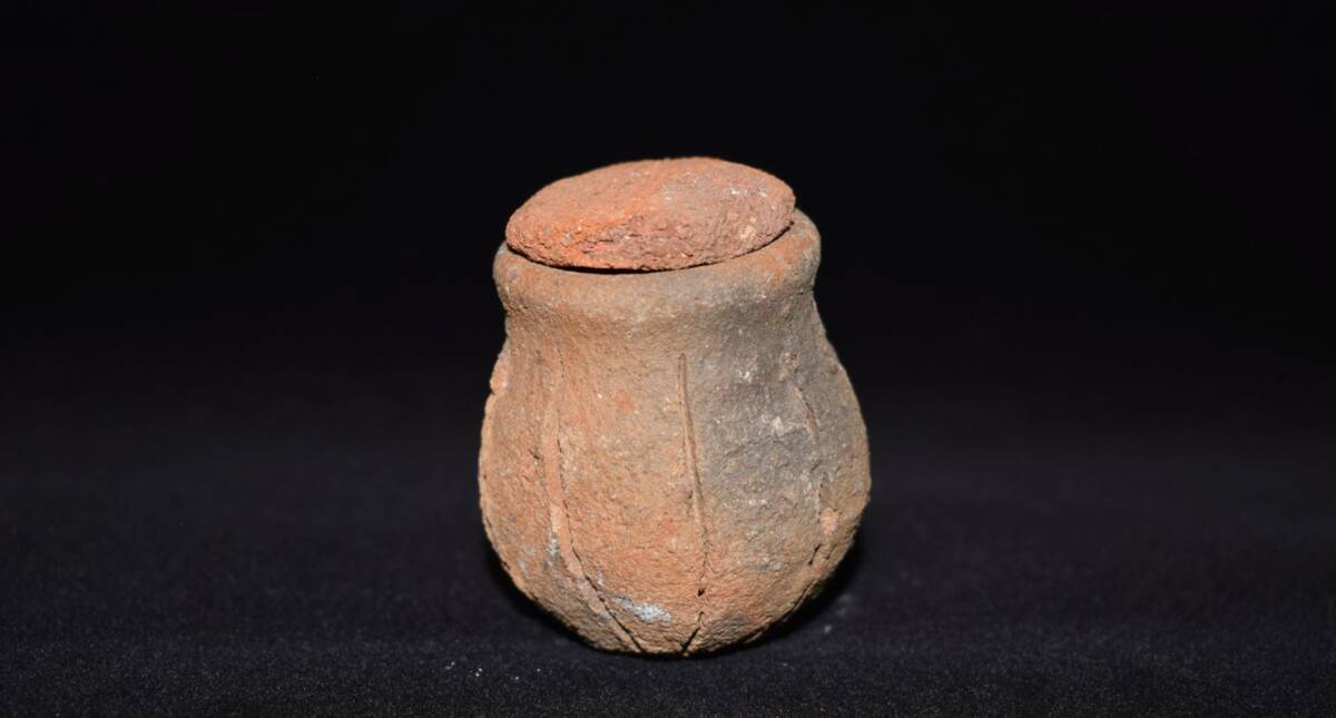 Fig.7-h : Tòhòsuzen femelle (Abomey, Zou - Bénin). Cliché de V.Tourreil
