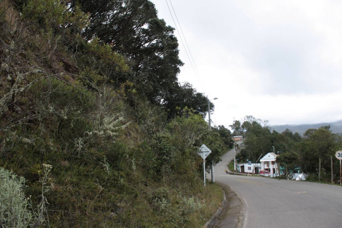 Fig. 9 : Route qui mène au centro poblado. 