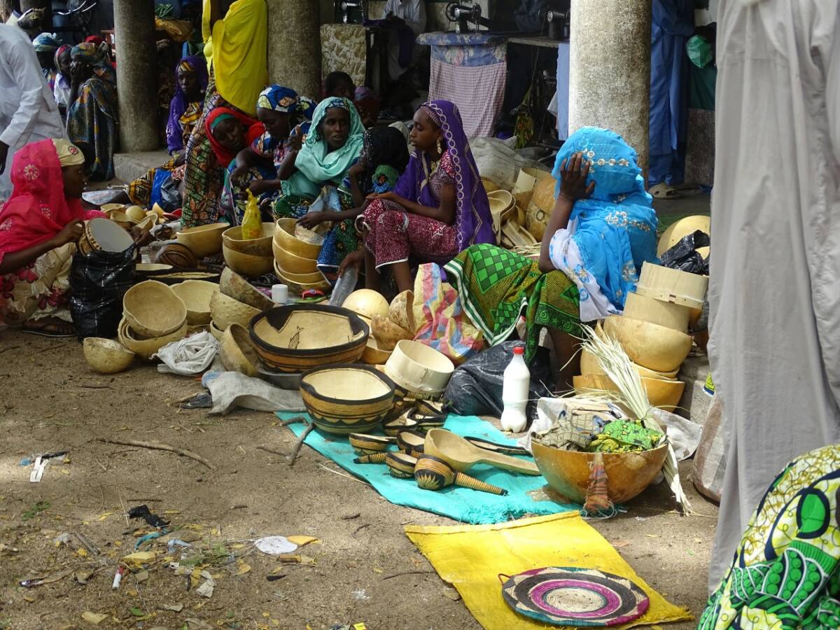 Fig. 5 : Les femmes peuls au marché de Dogba, 2020© Gabriel II A-Avava Ndo