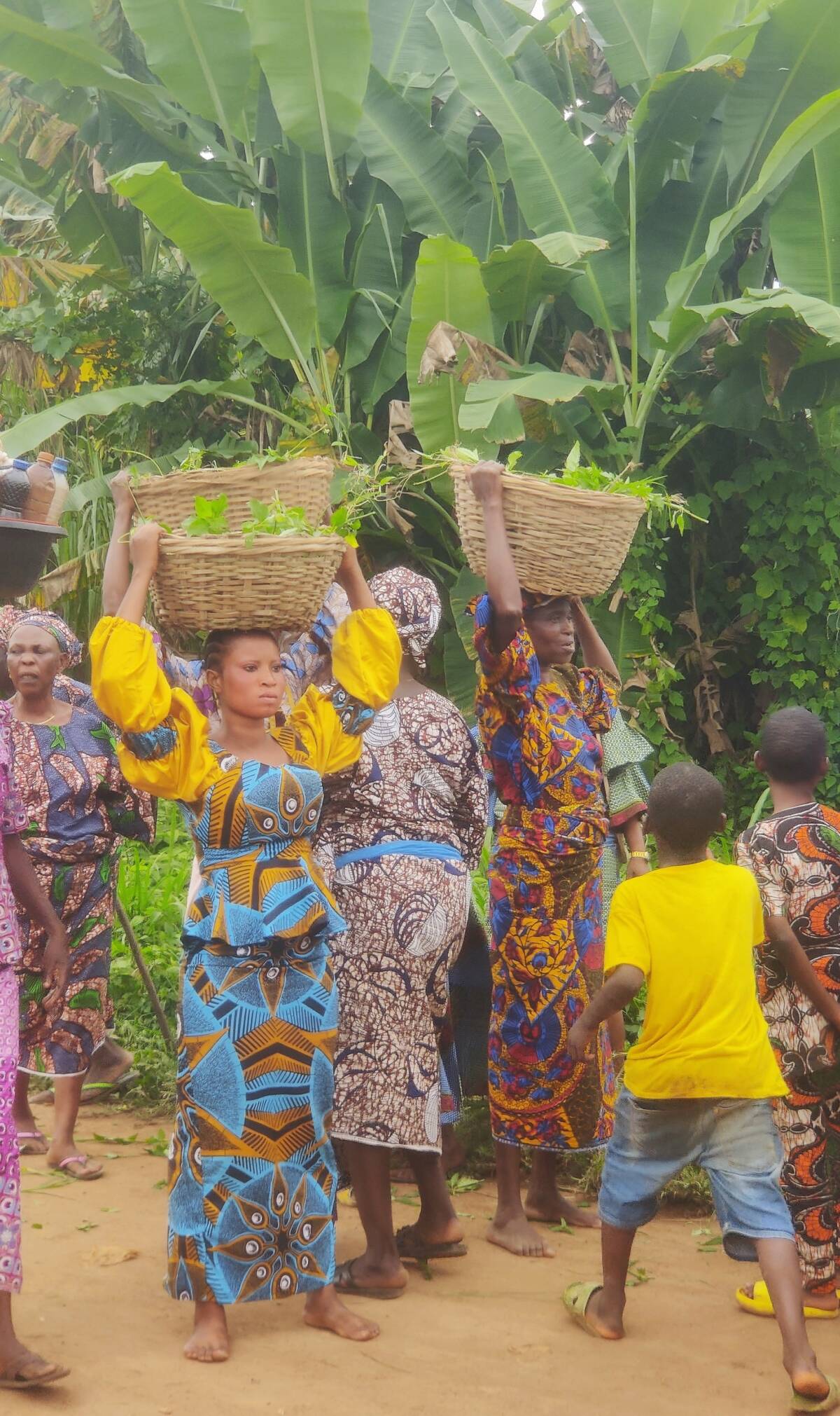 Fig.2 : Procession des femmes de Luwo Compound pendant Luwo Festival et collecte des herbes qui serviront pendant la transe, d’Ilé-Ifẹ̀. Léa Roth 2022.